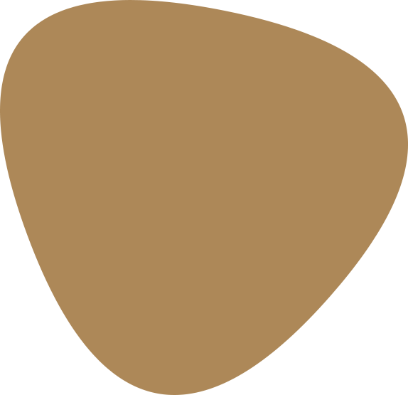 hero-2-shape-1